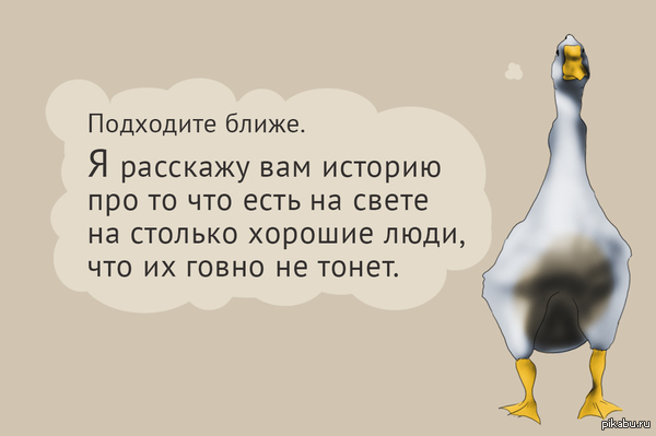 ��� �����