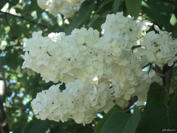 ,                  ....   