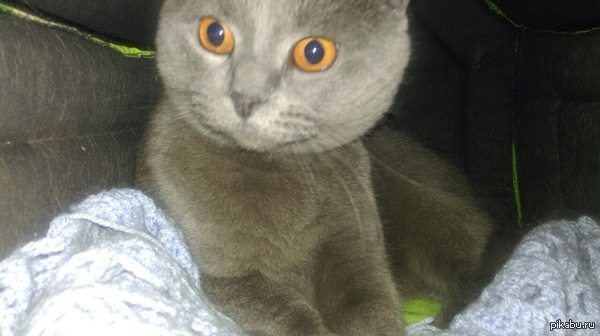 ��� � ����������