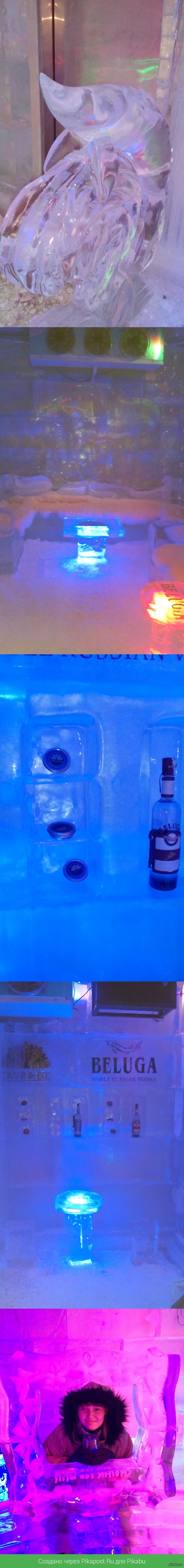    Ice Bar  , .  -30,   +35.      ,        " ".