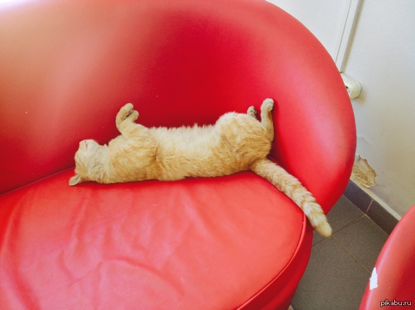 ���������. �������� �������