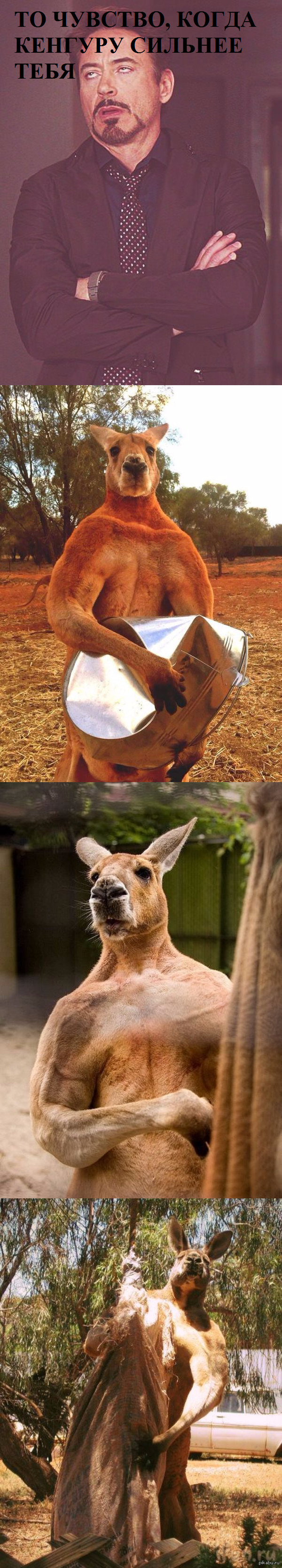 �� �������, ����� ������� ������� ����