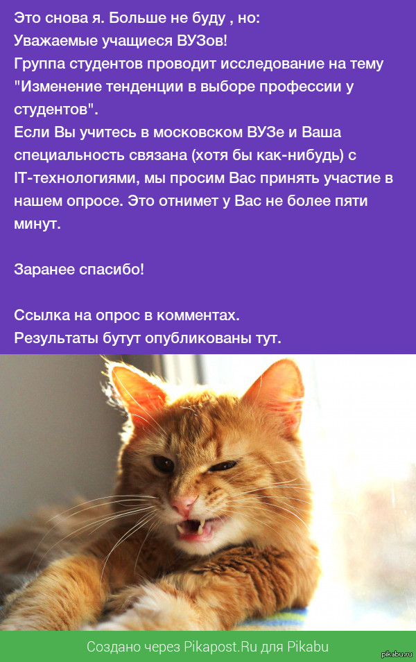 Опрос для IT - студентов
