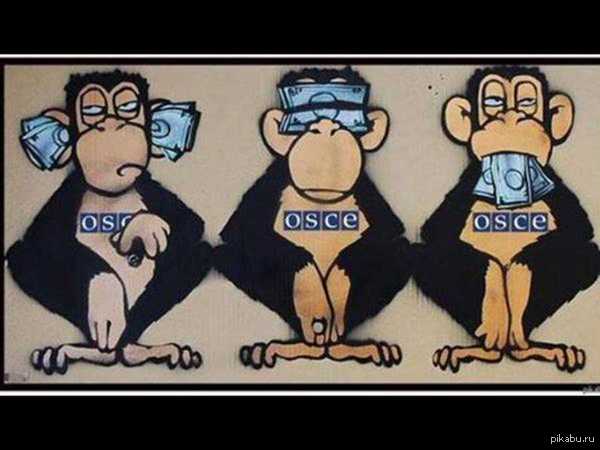 ОБСЕ во всей красе