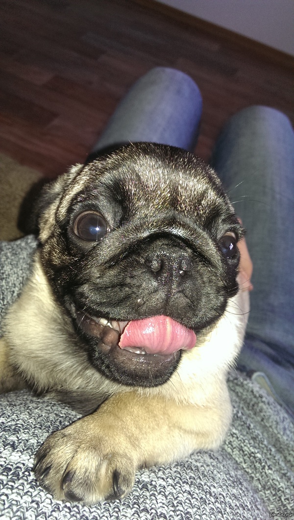 �- ����!))