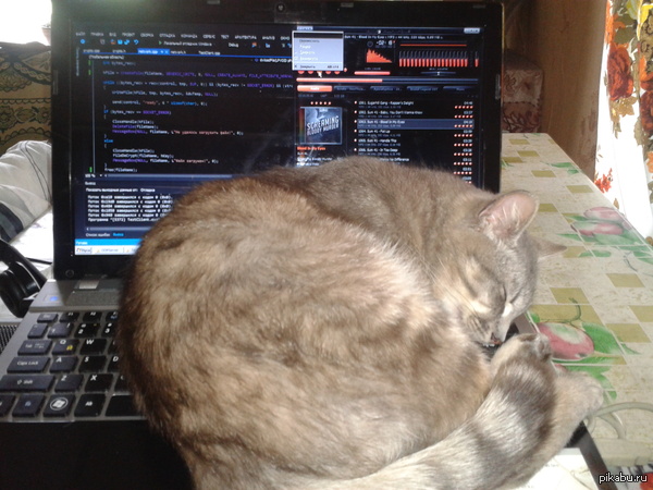 ���� �, ������, �������� �� ����������������...