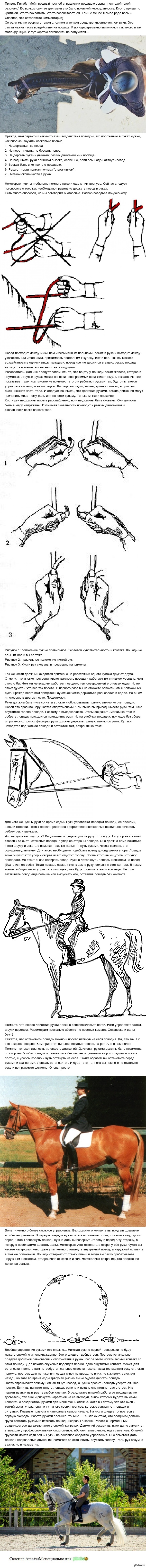  .   .  <a href="http://pikabu.ru/story/nemnogo_ob_upravlenii_shenkel_3351819">http://pikabu.ru/story/_3351819</a>     ))  ))
