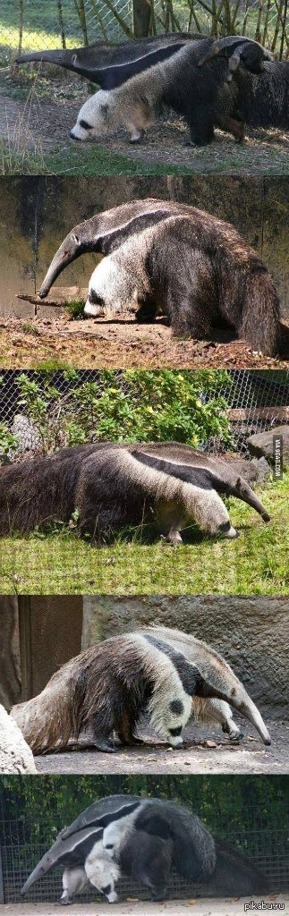 � ����! ���� ���� �� ������...