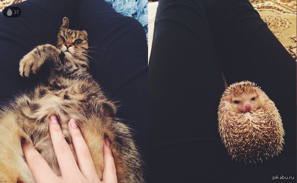 ���� �� ���-�� �����