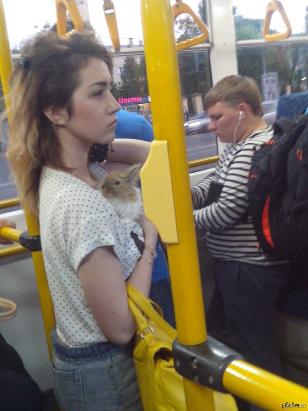 ������� � ��������