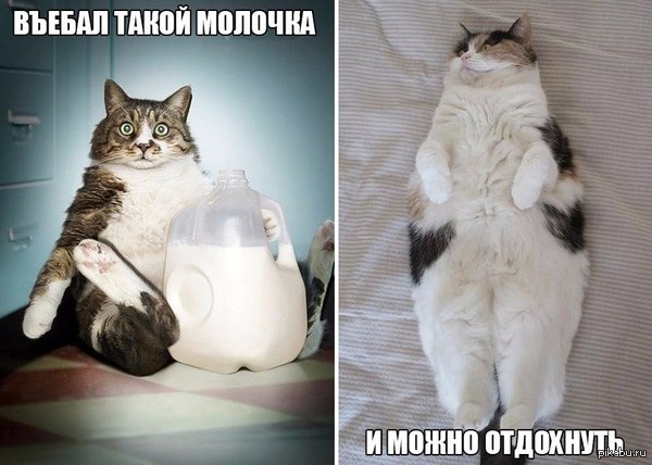 ����� ����