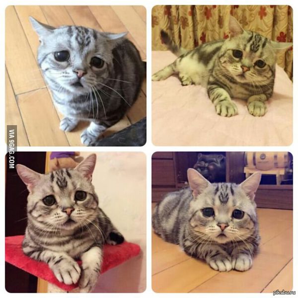 &quot;  ,   - &quot;