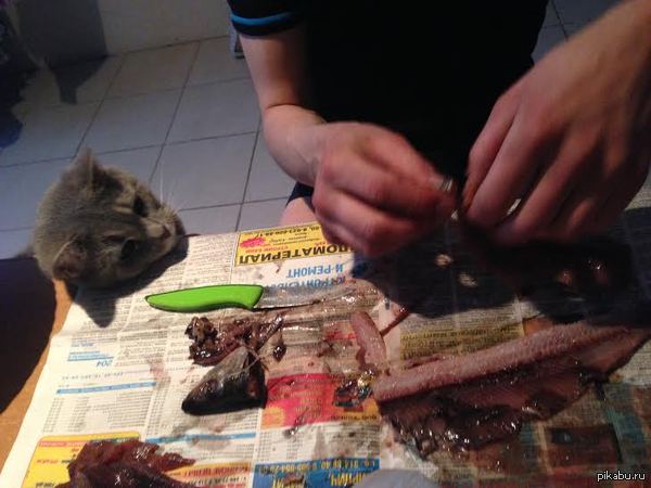 ���������� ����