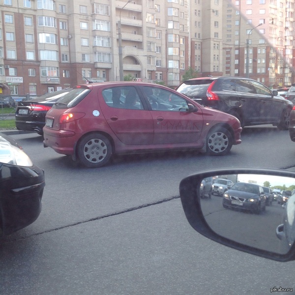 �������� ����� ����