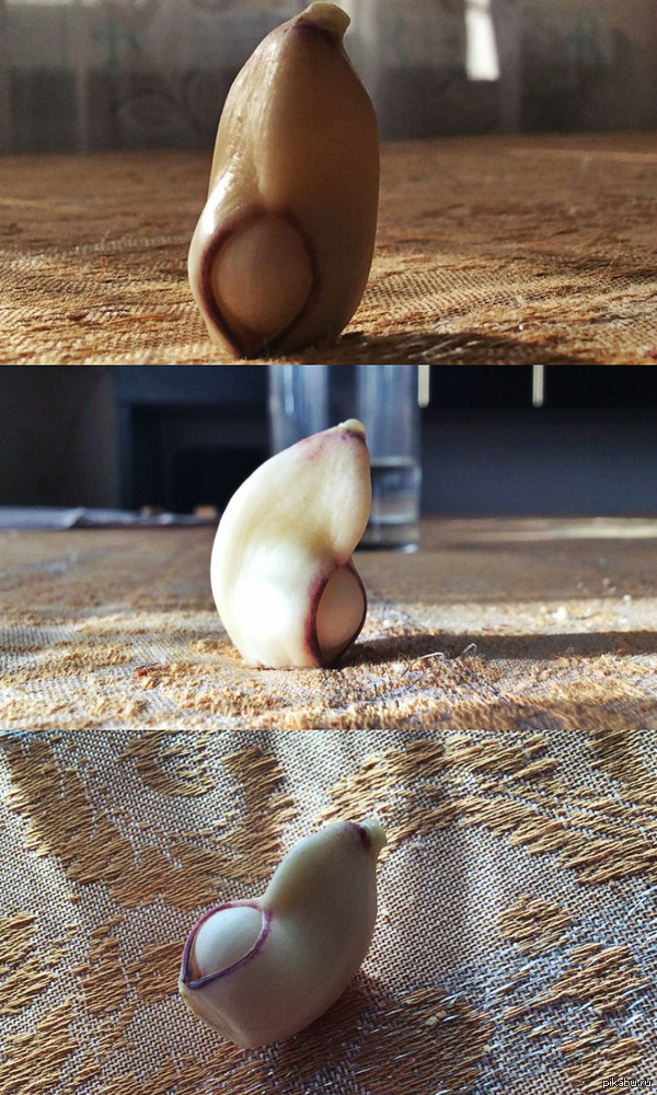 ������ ����������,������ ���������� ������ )))