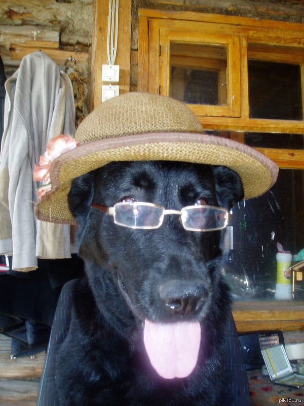 ������ ���� ������������ �������)