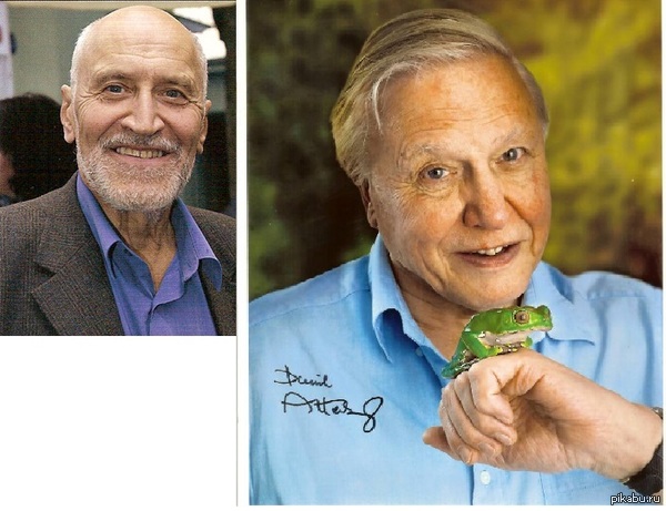 ��� ���� ������