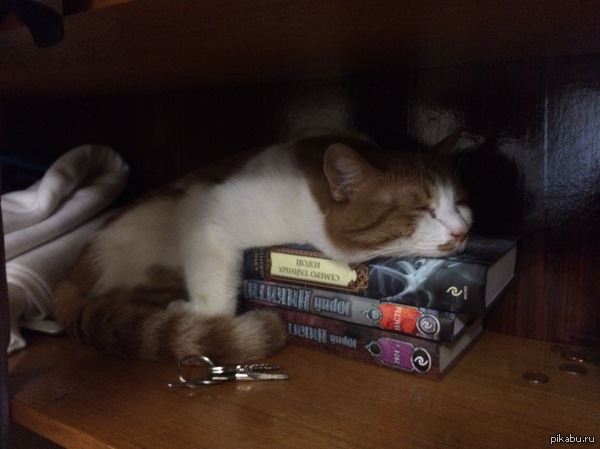 ��������� ��� ����