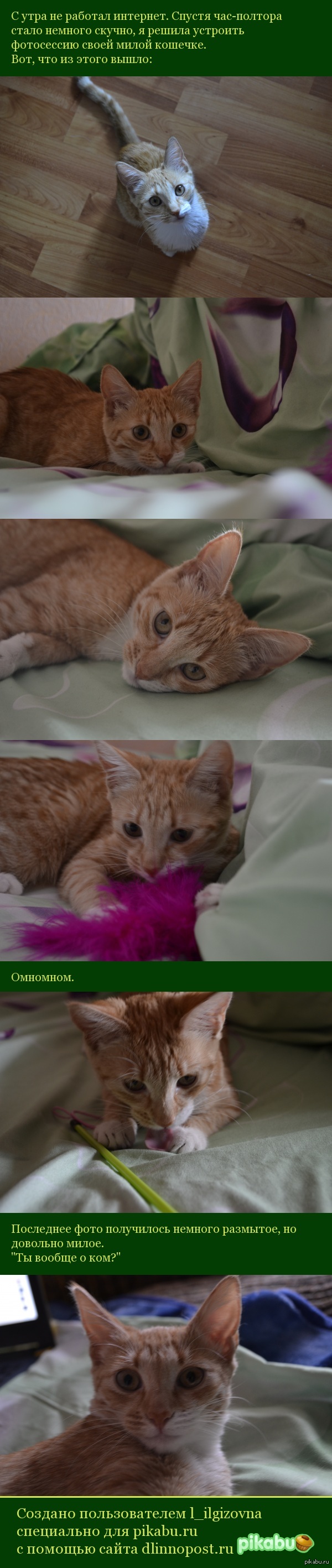 ��� ����� ����.