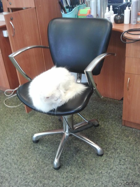 ��������� ���������� � ��������������