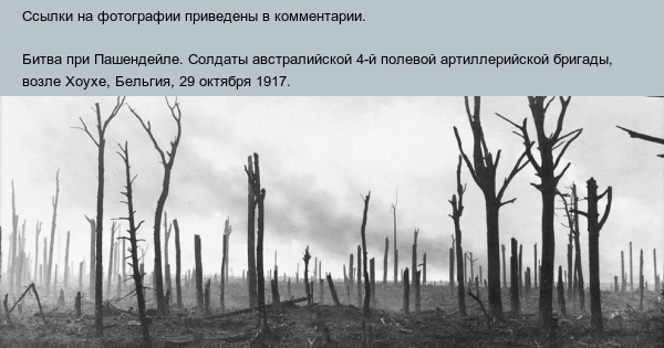 Фотографии Первой мировой войны. | Пикабу