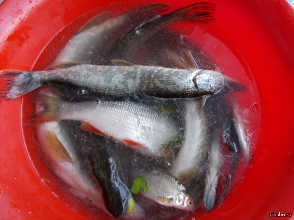 ��� ����������� ����. ������� �� ��� ������, �� � � ������� �� �������)