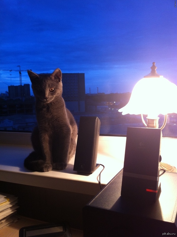 Годный косплей)