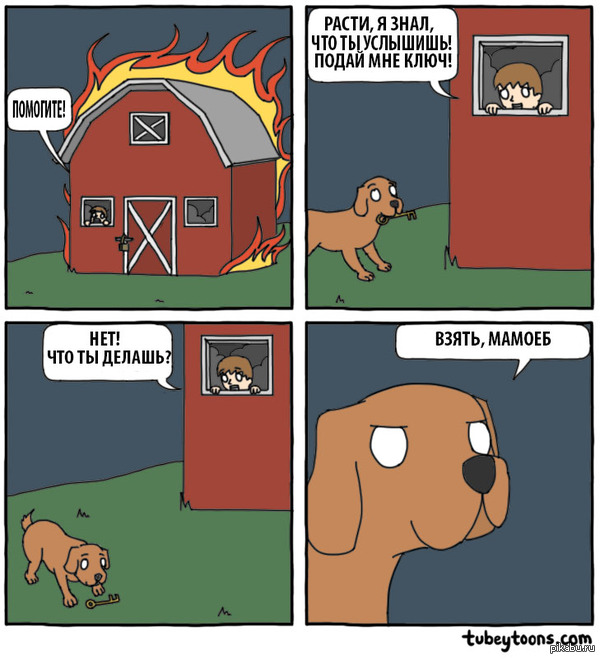 Лучший друг человека