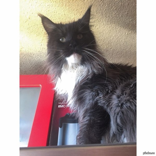 �������, ������� ����� � ���������, ��� ���� ��������� �� 12-15 ��, �� ���� ���, �� ������������� ����� ����)))