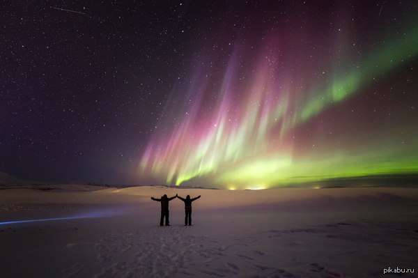 ������ ��������� ����