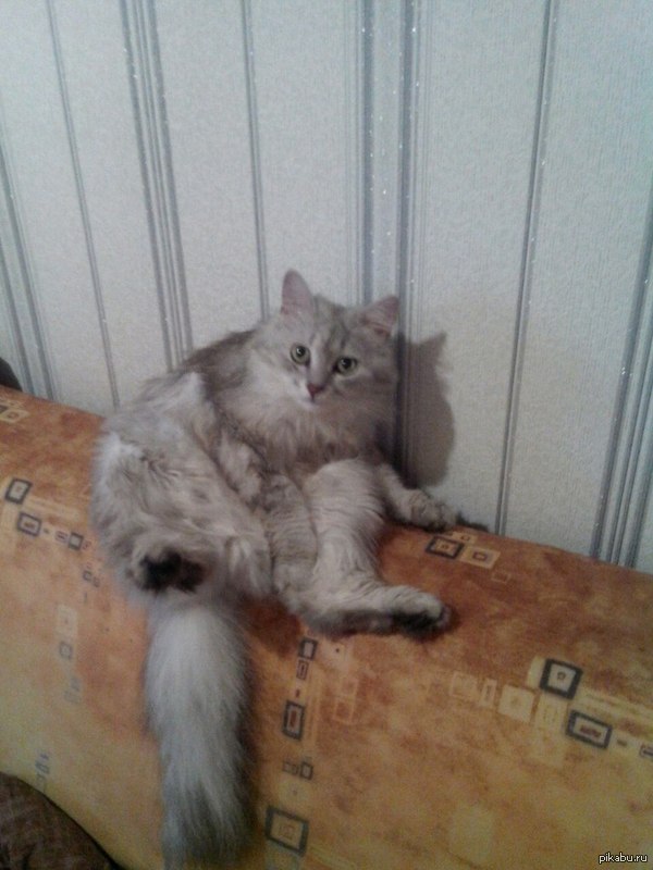 "�����, ������ �����"