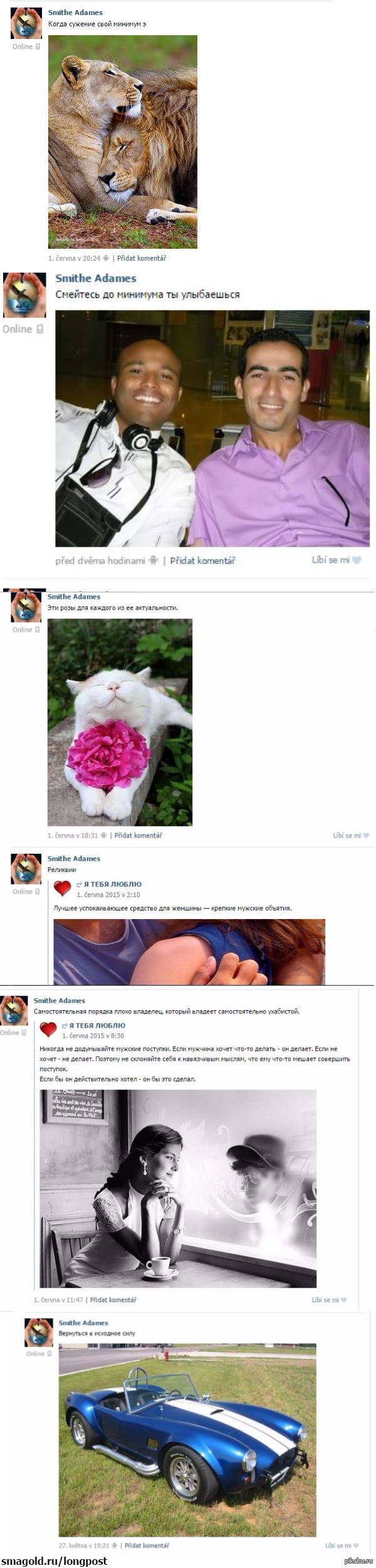 Smithe Adames ����� � �����������