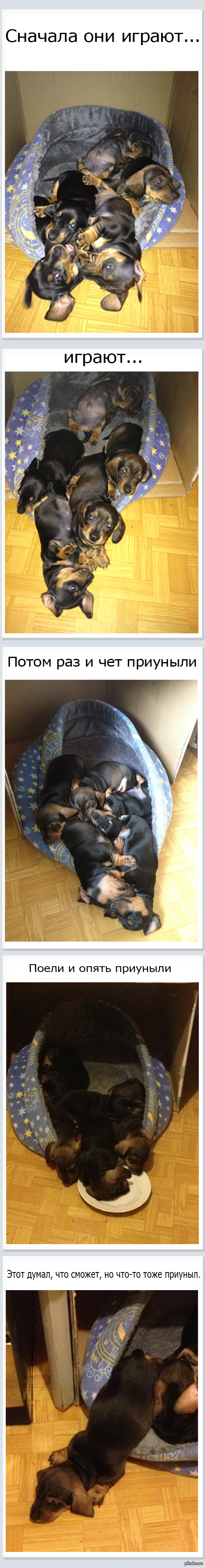 ���� ���� �� ����� ������ �����.