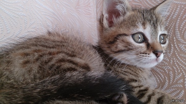 ����������� �� ������� ���������, ����� ���� ������!!! ����������� ��� ������� ������.