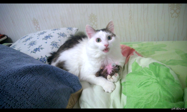 Когда перепил скумы...