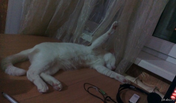 ��� �������, ��� � �����