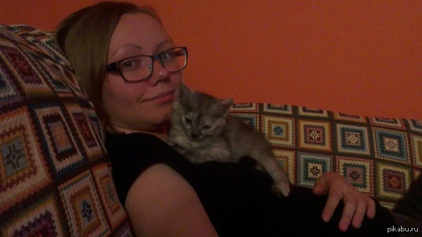 Мои маленькие кошечки