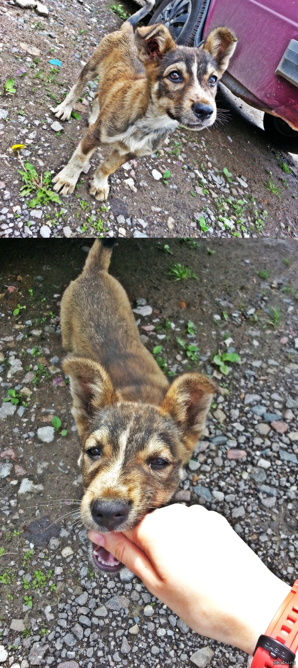 ������� ������ �����������