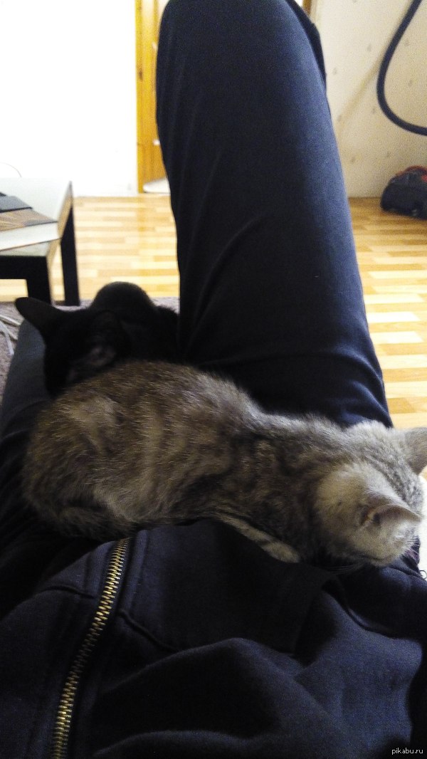 ��� �������)