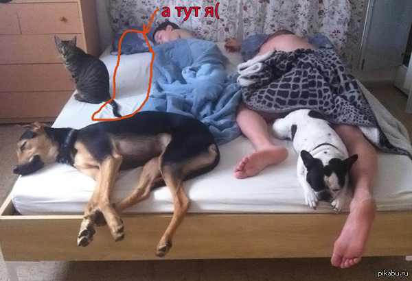 Жизненное пространство