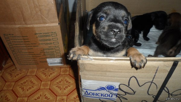 ����� ������ � ������� ����<<<���������>>>