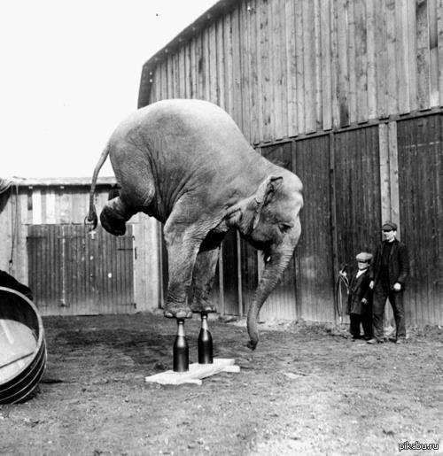 А я у стенки даже встать не могу на руки