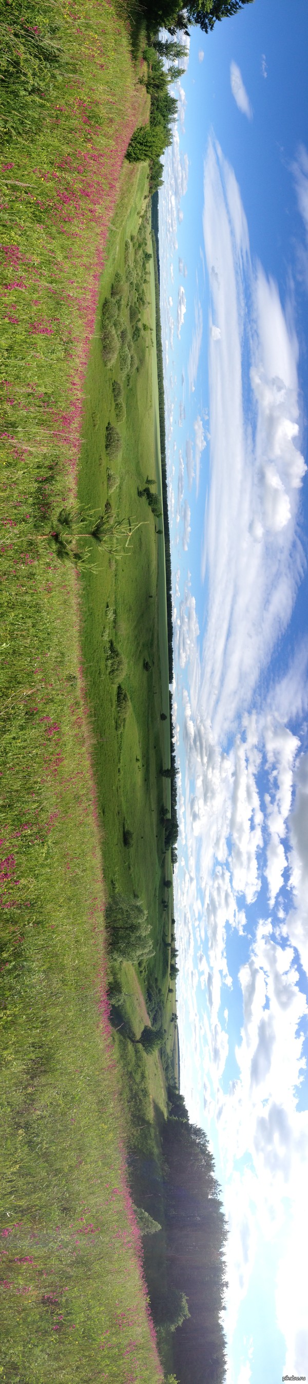 ������ ��������