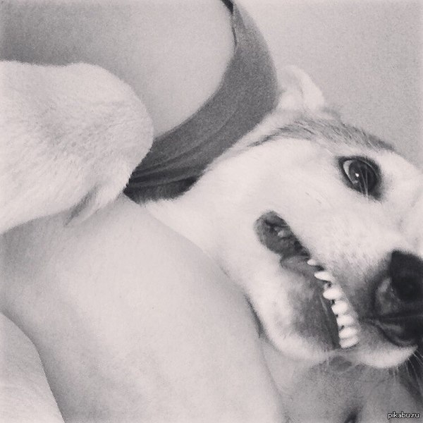 ������ ������ �� ����� ������.