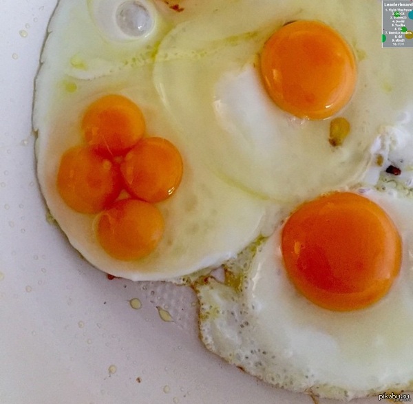 ����� ��������� � agar.io