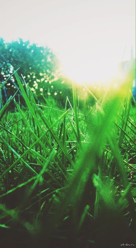 ���������� ���� �� ��� ���