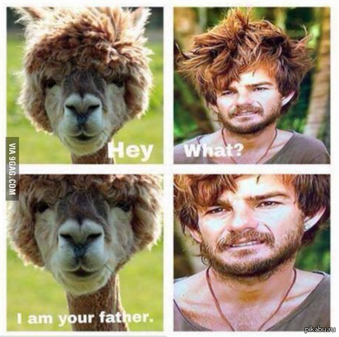 -Люк, я твой отец