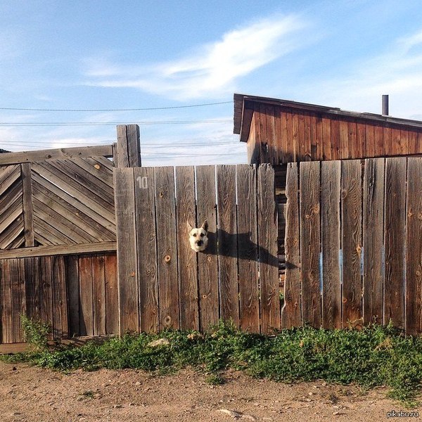 �� ��� �����...?