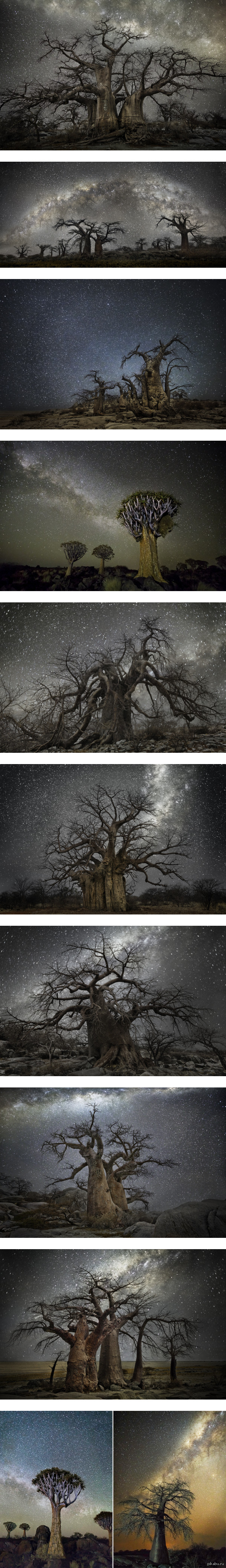 Новая серия завораживающих фото Бэты Мун