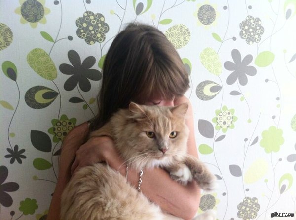 �����������!!!